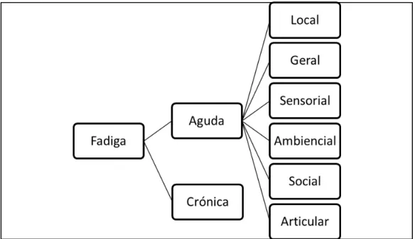 Figura nº2 - Os diferentes tipos de fadiga segundo Miller (2003) 