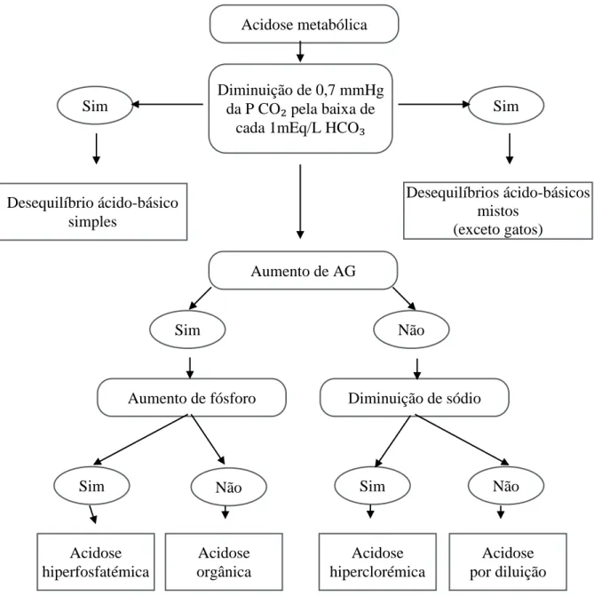 Figura 2 Algoritmo para avaliação dos pacientes com acidose metabólica-adaptado de Morais, 2008               