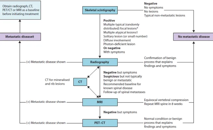Figure 3 - Schematic bone structure and types of metastasis observed by a wide range of imaging  modalities: Plain Radiograph (XR), Computed Tomography (CT), Magnetic Resonance Imaging (MRI), 
