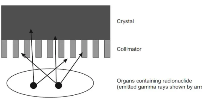 Figure 5 - Schematic of a gamma camera (16). 