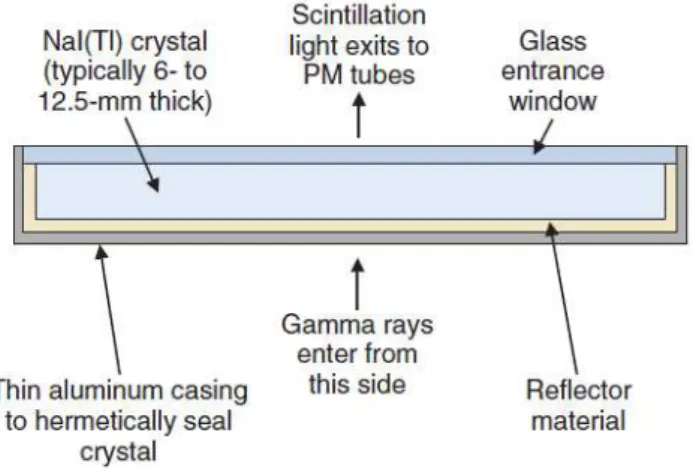 Figure 8 - Schematic cross-section of a NaI(Tl) crystal for a gamma camera (21). 