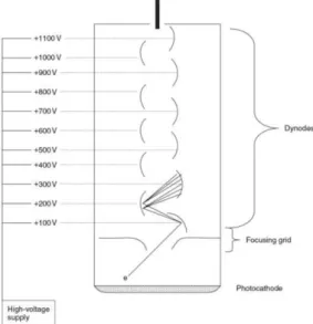 Figure 9 - Basic structure of a photomultiplier tube (18). 