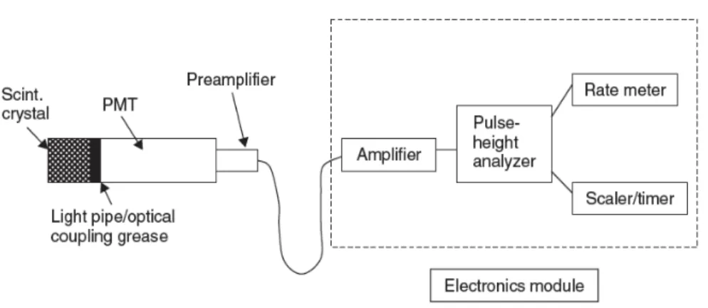 Figure 10 - Diagram of a scintillation detector with the basic structure of the signal acquisition  module (18)