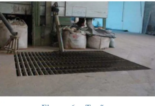 Figura 6  –  Tegão. 