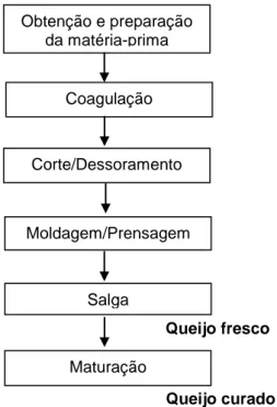 Figura 1 – Diagrama genérico do fabrico de queijo.  Adaptado de Martins (2012) 