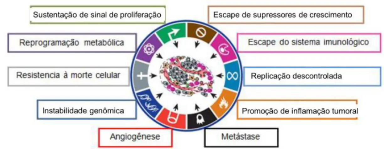 Figura  1  &#34;Hallmarks  of  cancer&#34;,  representação  das  principais  características  das  células  cancerosas