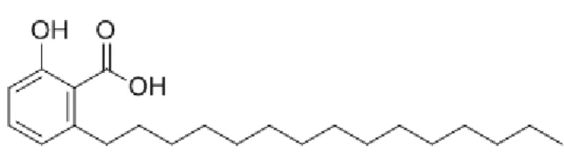 Figura  5  Estrutura  química  de  ácido  anacárdico  (ácido  2-hidroxi-6-pentadecilbenzóico)  15:0
