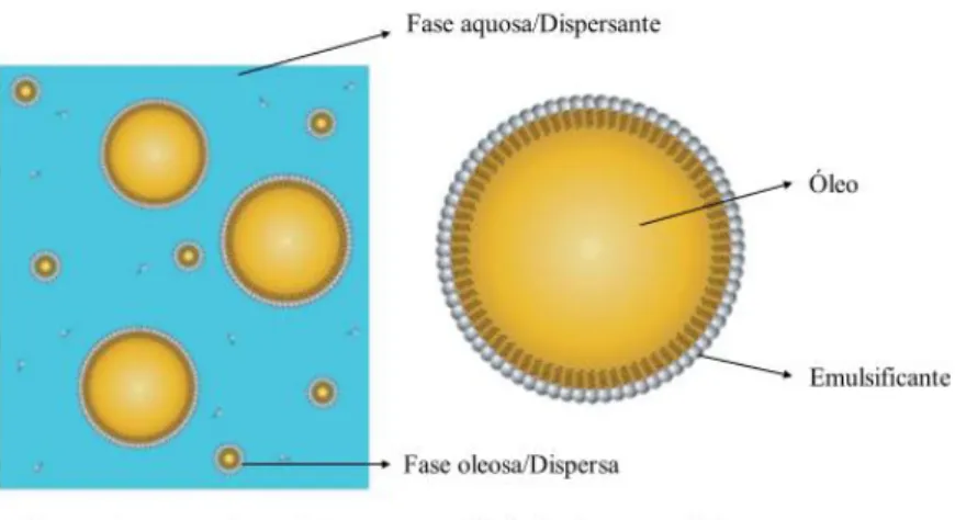 Figura 8 Representação esquemática de nanoemulsões óleo em água (O/A). Adaptado de: McClements DJ