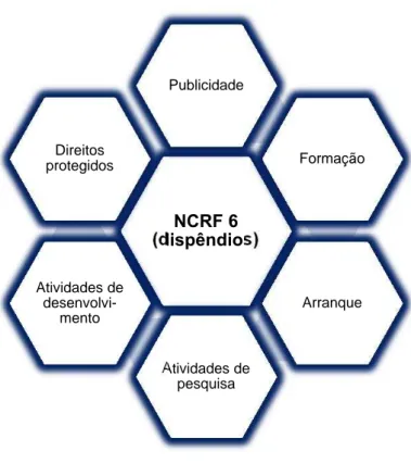 Ilustração 6 - Dispêndios tratados pela NCRF 6 