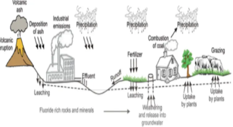 Figura 2. Diagrama esquemático sobre as fontes naturais e antropogénicas de emissão de compostos fluoretados para o meio ambiente  (Lichtfouse et al., 2015)