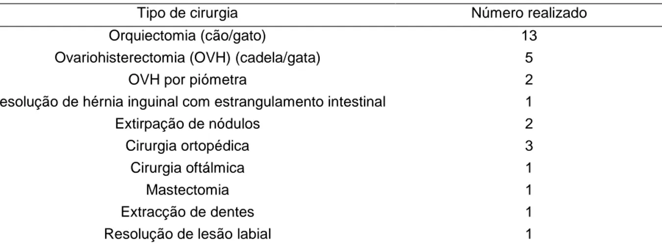 Tabela nº  2 – Resumo das cirurgias observadas durante o período do estágio curricular em clínica