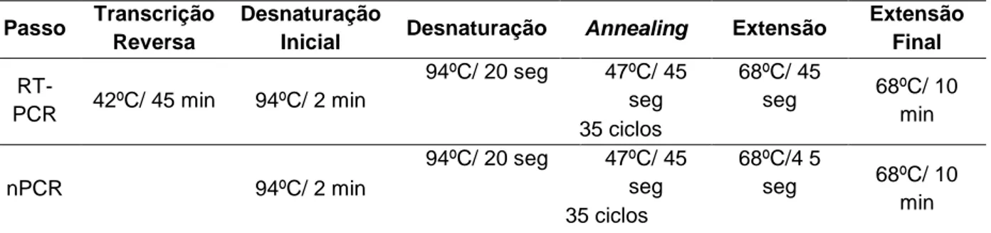 Tabela nº  6 – Ciclos térmicos utilizados no protocolo RT-PCR para subtipificação de FCoV