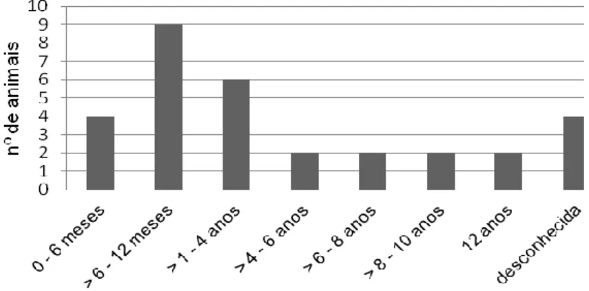Gráfico nº 1 – Frequência etária dos animais incluídos no estudo por intervalos etários (N=31)
