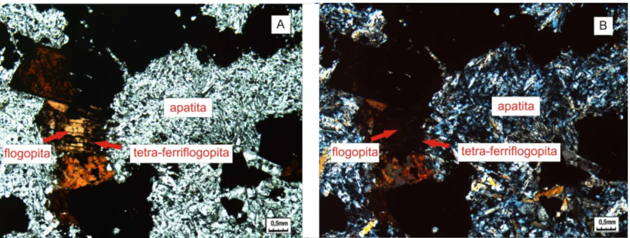 Figura 3.4- Amostra do testemunho CQ 131 (a)Tetra-ferriflopopita e flogopita em apatitito sob  luz transmitida com nicóis paralelos; (b) Idem sob luz transmitida com nicóis cruzados