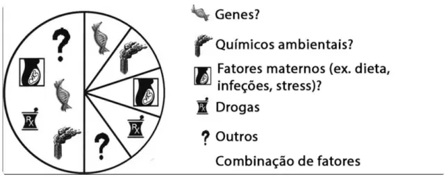 Figura 7 - Possíveis fatores de risco que contribuem para o desenvolvimento de autismo (adaptado de  Dietert et al., 2011)