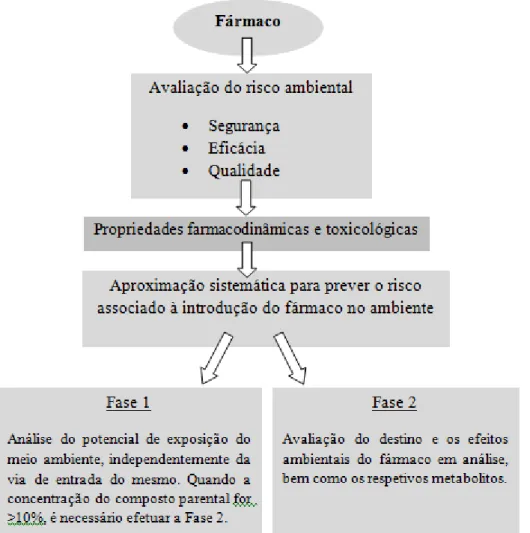 Figura 5: Descrição das etapas do programa desenvolvido pela EMA para avaliação do risco ambiental  provocado por fármacos (adaptado de Pinto, 2011)