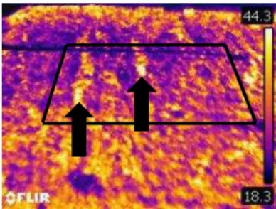 Figure 4: Field 1 photographed from position 2 (thermal imaging).