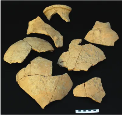 Fig. 1 – Fragmentos  da ânfora 1 -  71.CRIP-NORTE. 