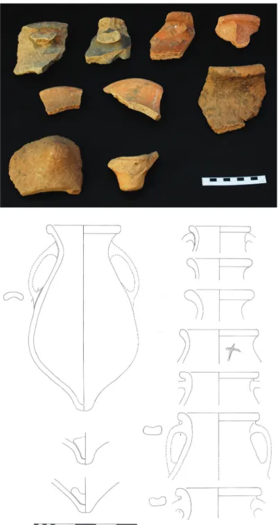 Fig. 2 – Fragmentos  de ânfora da classe  Conimbriga 45–46  (foto: Humberto  Rendeiro©DGPC/ MMConimbriga)