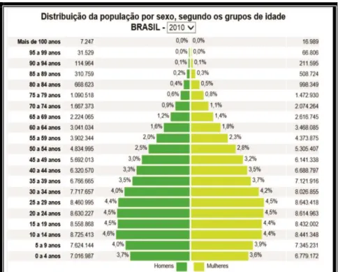 Figura 1 - Estrutura etária da população brasileira referente ao censo realizado no ano de 2010