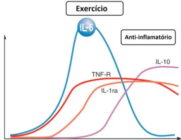 Figura 6 - Efeito Anti-inflamatório do exercício.  