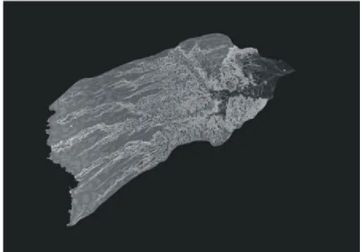 Figura 3 - Integração dos atrributos  hipsometria, declividade e área de contri- contri-buição em níveis de cinza.