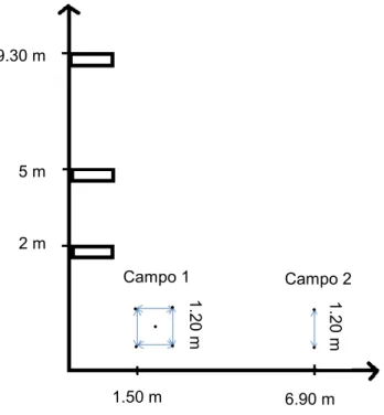 Tabela 5: Planificação do campo 1 da experiência 3. 