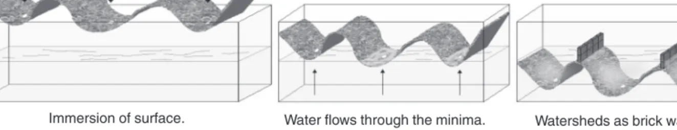 Fig. 1. Immersion simulation.