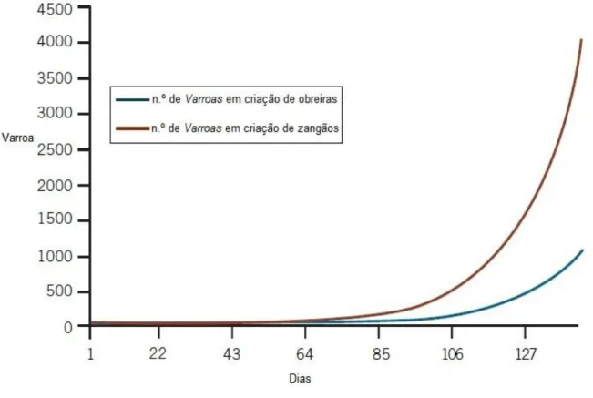 Gráfico n.º 1 – Curva de crescimento teórica da população de Varroa no verão, na presença  de criação de obreiras e zângãos (adaptado de Goodwin &amp; Eaton, 2001)