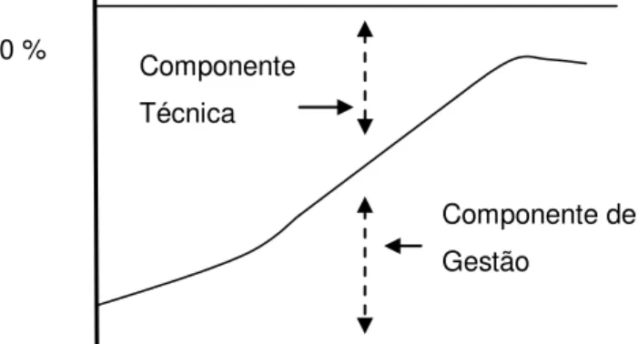 Ilustração 1 - As componentes técnica e de gestão da função manutenção. 