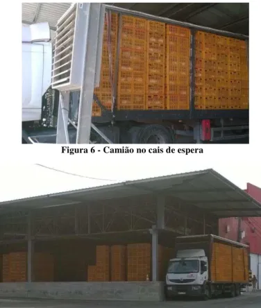 Figura 6 - Camião no cais de espera 
