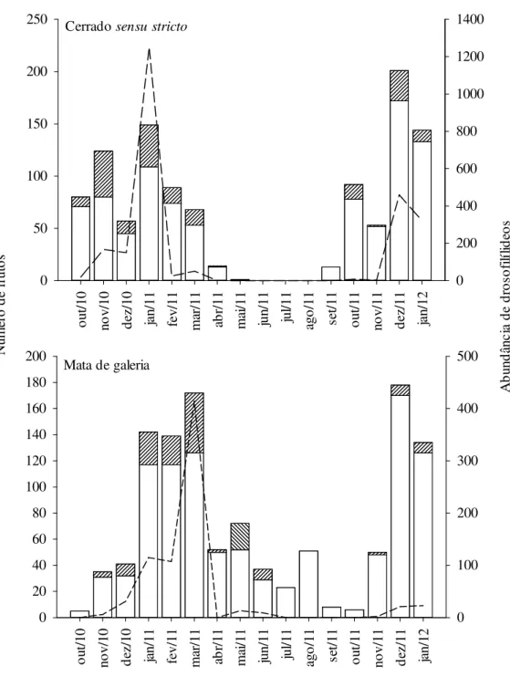 Figura  1.  Disponibilidade  de  frutos  vazios  e  colonizados  e  abundância  de  drosofilídeos, em coletas mensais realizadas entre outubro de 2010 e janeiro de  2012