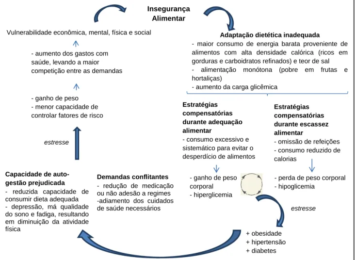 Figura 2. Ciclo de relação entre insegurança alimentar e doenças crônicas. Adaptado de Ramsey 11 , Seligman,  Schillinger 12  e Chilton 14 