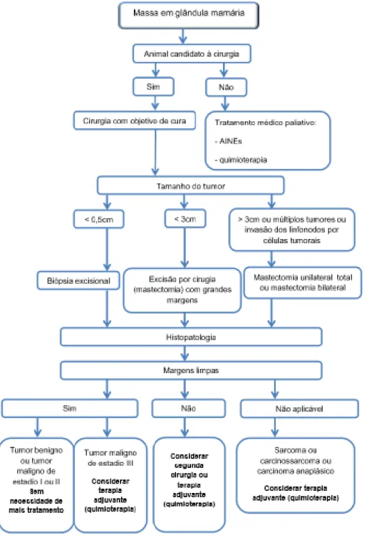 Figura 3 - Diagrama de decisão do tratamento na neoplasia mamária canina (adaptado de Dobson &amp; 
