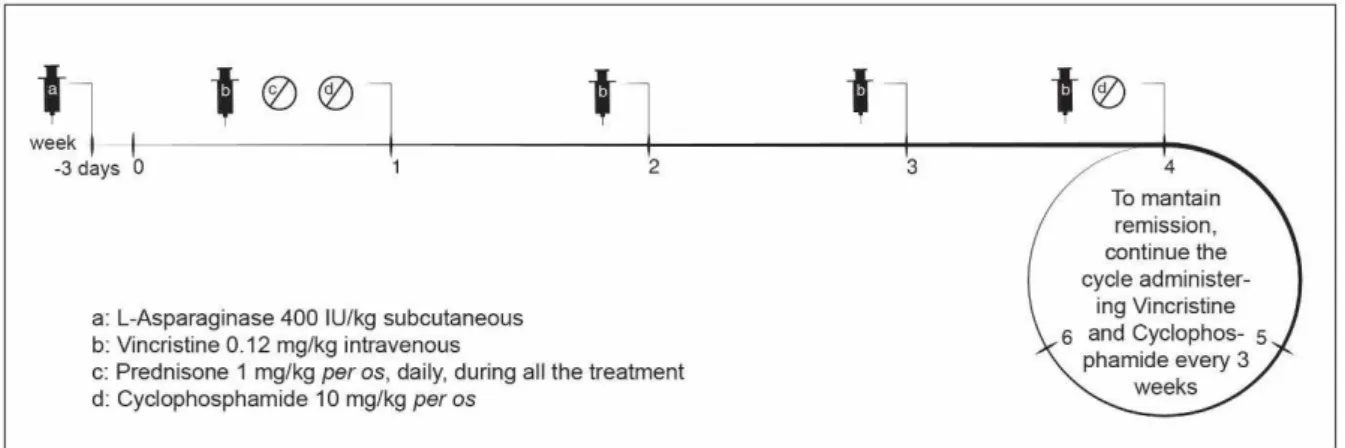 Figure 7. L-COP protocol for ferret lymphoma