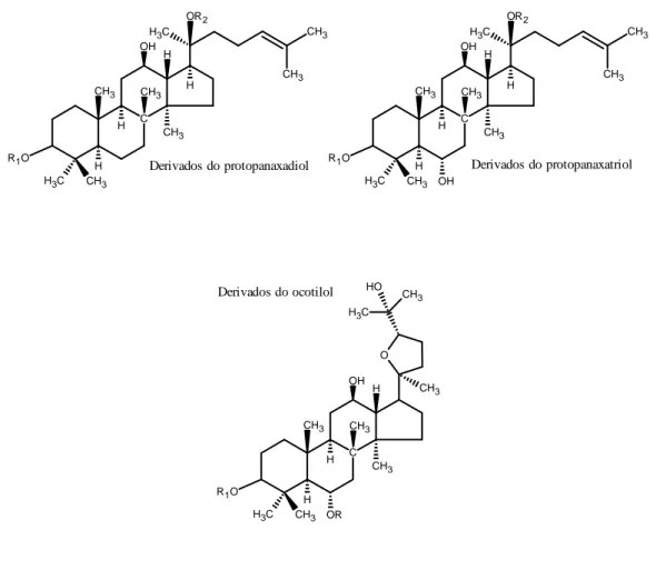 Figura  7.  Estrutura  química  base  dos  ginsenósidos  do  tipo  damarano:  protopanaxadiol;  protopanaxatriol;  e  ocotilol