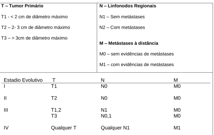 Tabela 1 - Estadiamento TNM de tumores mamários felinos. 