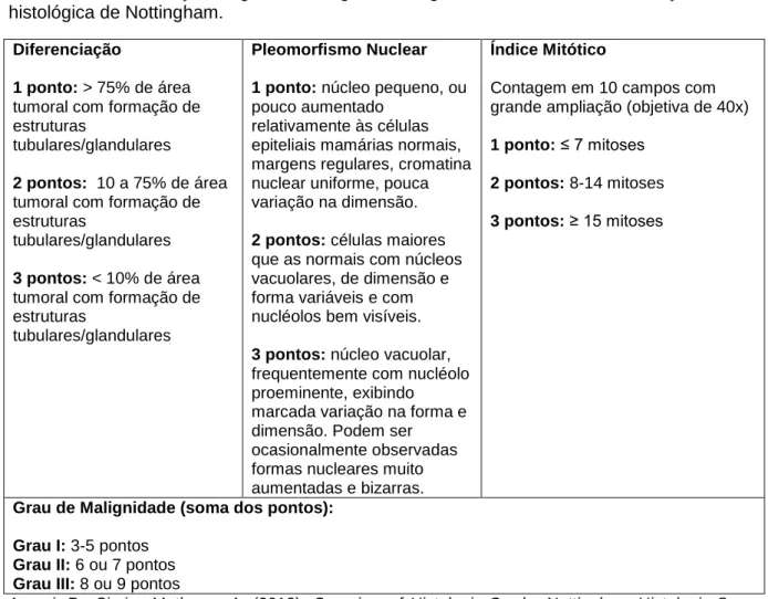 Tabela 3 - Determinação do grau de malignidade segundo o sistema de classificação  histológica de Nottingham