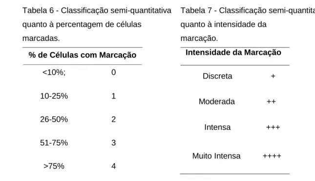 Tabela 7 - Classificação semi-quantitativa  quanto à intensidade da   marcação.       Intensidade da Marcação         Discreta          +  Moderada  ++         Intensa          +++        Muito Intensa         ++++  3.2.4 Análise estatística 