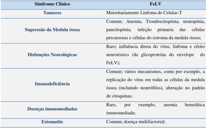 Tabela 3: Sinais clínicos e principais mecanismos patológicos do FeLV(Hartmann K, 2012) 