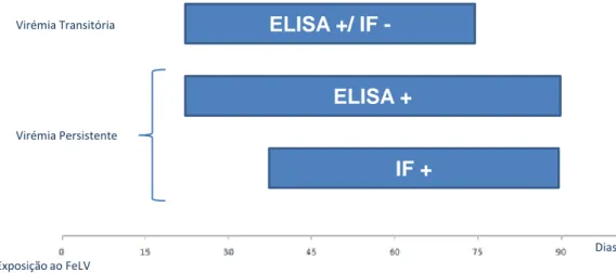Figura 4: Resultados dos testes ELISA e IF em função do estado de virémia do animal 