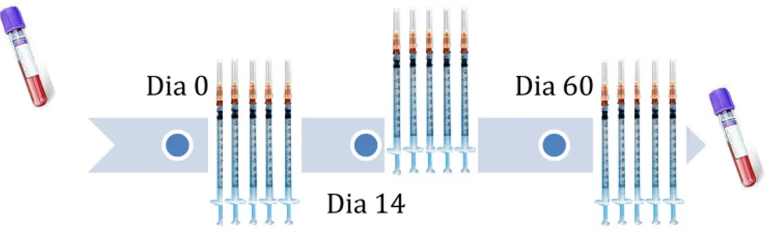 Figura 8: Dias de colheita das amostras 