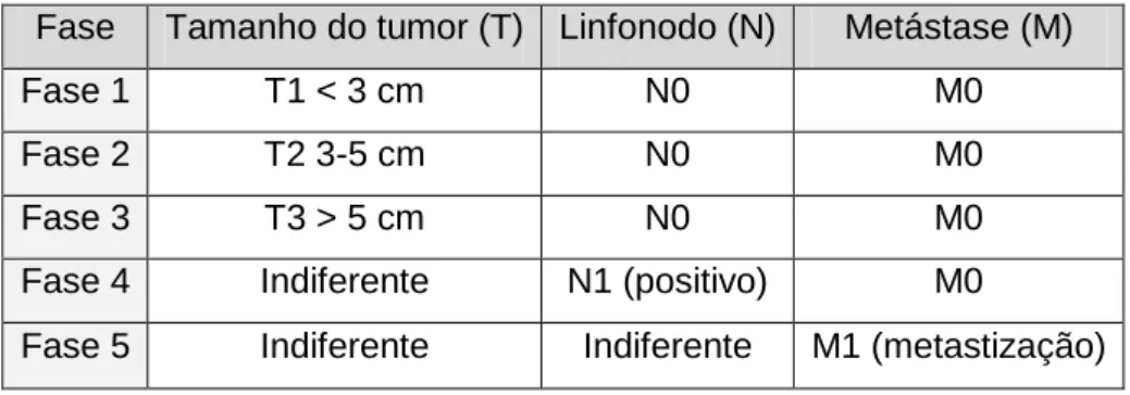 Tabela 1. Cálculo da fase evolutiva dos tumores mamários caninos (adaptado de Sorenmo  et al