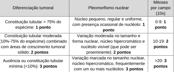 Tabela  2.  Critérios  utilizados  na  determinação  do  grau  de  malignidade  dos  tumores  mamários caninos (adaptado de Clemente et al., 2010)