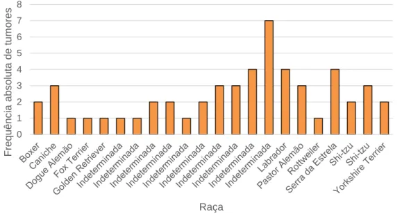 Gráfico  2.  Frequência  absoluta  do  número  de  tumores  excisados  tendo  em  conta  a  raça.