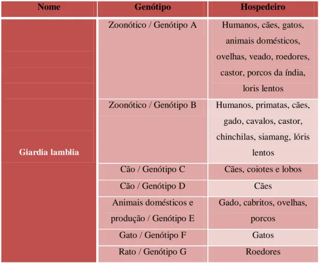 Tabela 2 Hospedeiros dos genótipos A e B (Fonte adaptada R. C. A. Thompson, 2004; R. C