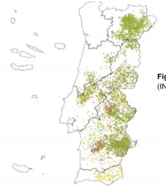 Figura  5|  Superfície  de  olival  em  Portugal  (INE, RA, 2009). 