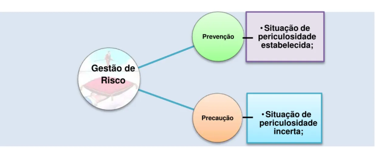 Fig. 3  –  Gestão de risco