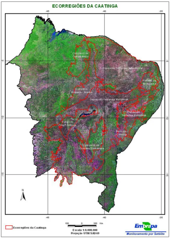 Figura  12:  Localização  do  Complexo  vegetacional  de  Campo  Maior,  PI,  como  ecorregião  da  caatinga