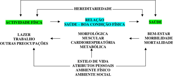 Figura 1 – Modelo descritivo das relações actividade física - saúde (BOUCHARD, 1990).